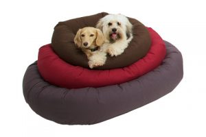dog-beds